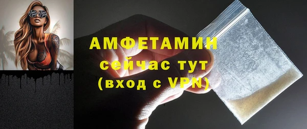 дмт Гусев
