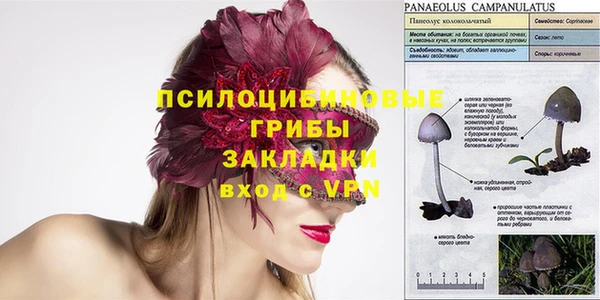 прущая мука Алзамай