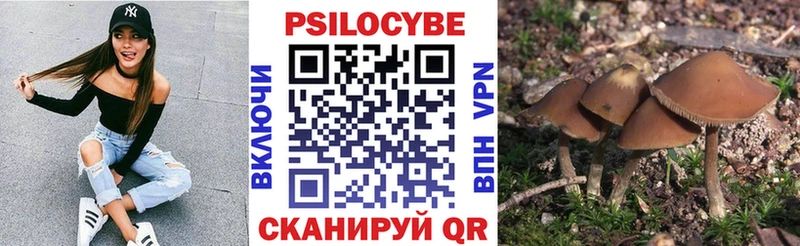 закладка  Ачинск  Псилоцибиновые грибы мицелий 