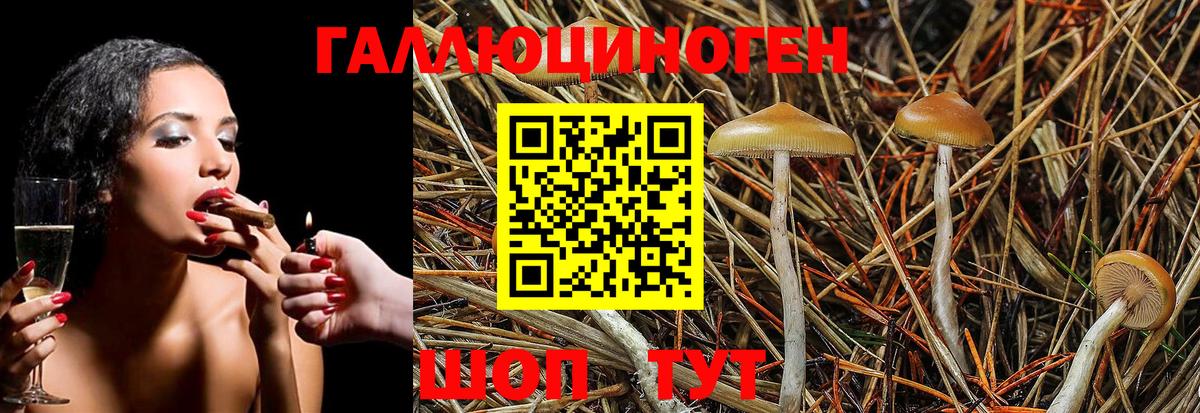 Галлюциногенные грибы Magic Shrooms Ачинск