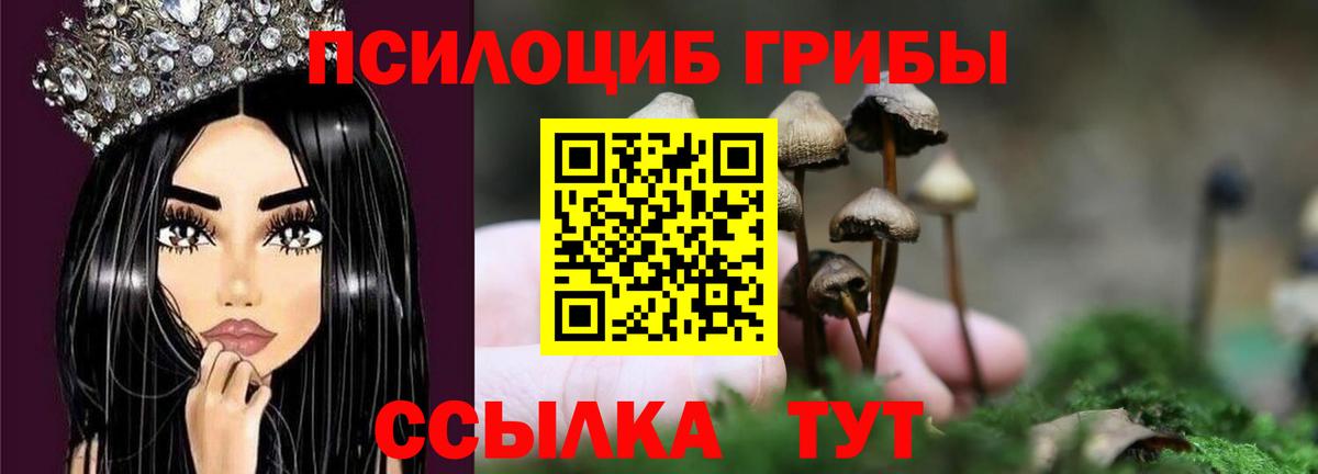 Галлюциногенные грибы Magic Shrooms  Вход с VPN  Ачинск  Псилоцибиновые грибы Magic Shrooms 